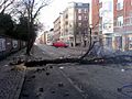 Tree used as a roadblock