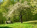 Vorschaubild der Version vom 12:14, 4. Mai 2021