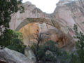 Ventana Arch