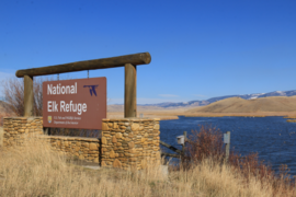 Eingangsschild zum National Elk Refuge mit dem Feuchtgebiet des Flat Creek im Hintergrund