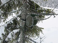 Dissimulée dans un sapin au bord de la route, la mine antichar suédoise Bofors Frdm 14 génère un noyau capable de perforer 60 mm d'acier à blindage à une distance de 30 m.