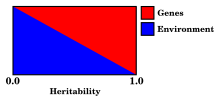 The "two buckets" view of heritability. Genes x environment heritability two buckets view diagram.svg