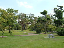 The John C. Gifford Arboretum, located on the campus of the University of Miami in Coral Gables, Florida, May 2006 GiffordArboretum.jpg