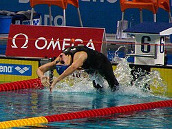 Seppälä az 50 méteres hátúszás előfutamában a 2008-as eindhoveni Európa-bajnokságon