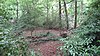 Harrow Weald SSSI.JPG