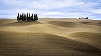 Cyprese na górce San Quirico (Toskana, Italska)