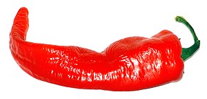 A large red cayenne pepper