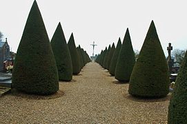 Cimetière communal.