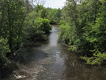 Little Muskegon River Morley Michigan.jpg