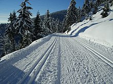 Groomed ski trails for cross-country in Thuringia, track-set for classic skiing at the sides and groomed for skate skiing in the center. Loipe am Mordfleck.jpg