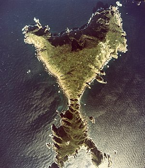 女島の空中写真（国土画像情報 由来）