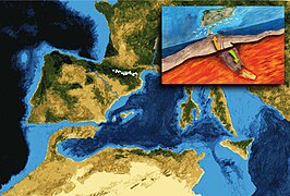 Messinian crisis. 6 mya, closing of Gibraltar