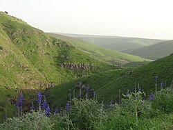 Nachal Tavor - pohled k východu