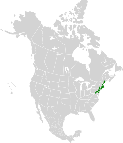 Северо-восточные прибрежные леса map.svg