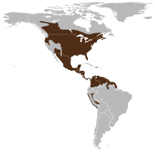 Mapa de distribuição