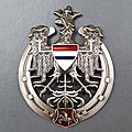 10 pułk Ułanów Litewskich