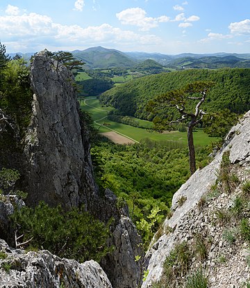 Escarpas da montanha Peilstein nos Bosques de Viena, Baixa Áustria. (definição 5 165 × 5 942)