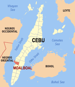 Mapa ng Cebu na nagpapakita sa lokasyon ng Moalboal.