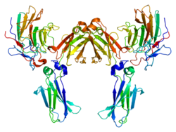 Протеин TRIM21 PDB 2iwg.png