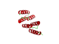 The tectons form self-assembled units, shown here as a protein composed of alpha helicies.