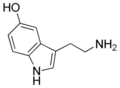 Image of serotonin molecule