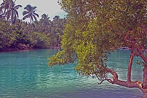 Small Lagoon Tubabao Island Guiuan.jpg