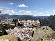 桜が満開の竹田城（兵庫県朝来市）