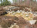 Tappoch Broch - northern side