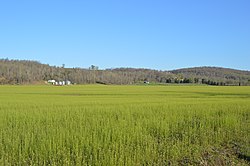 Along State Road 66 north of Rome