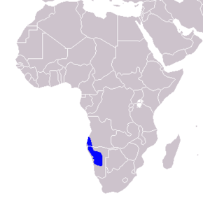 Description de l'image Tockus monteiri - Distribution.png.