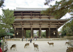 東大寺的南大門