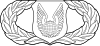 United States Air Force Operations Support Badge.svg