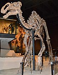 Miniatura para Gryposaurus monumentensis