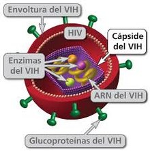 Virión del VIH