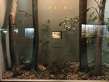 "Spring" display in Warburg Hall Warburg Hall of New York State Environments.JPG