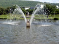 Wasserspiele mit Kranich im Horbach-Park