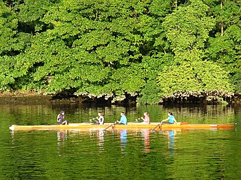 English: Water Sport on the Dee Many rowers ta...