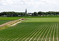 View on Oosterbierum