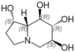 (+)-Castanospermin