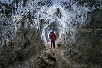 Сказочный ход. Автор Гульназ Сакулина