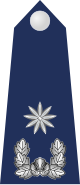 13.SKAF-MAJ.svg