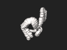 3D file generated from computed tomography of large intestine 3DPX-002736 Large intestine Nevit Dilmen.stl