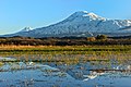 2021年6月25日 (金) 19:40時点における版のサムネイル