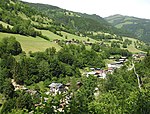 Ahorngruppe bei der Thumersbacher Kapelle