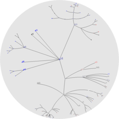 Focusing on a different node brings it and its children to the center of the disk, while uninteresting portions of the tree are compressed. BasicTreeFocused.png