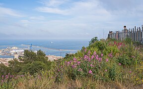 Vue d'une partie de la ville de Sète depuis le belvédère du Mont Saint-Clair.