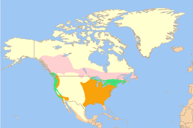 Range of C. purpureus      Breeding range     Year-round range     Wintering range