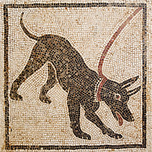 From Pompeii, Casa di Orfeo National Archaeological Museum, Naples Cave canem MAN Napoli Inv110666.jpg