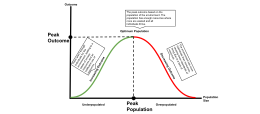 graph focusing on optimum values