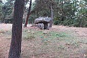 dolmen de Vedernat